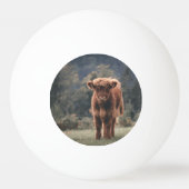 ハイランド牛ふくらはぎ秋の草原 卓球ボール (正面)