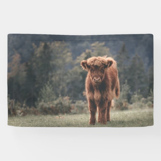 ハイランド牛ふくらはぎ秋の草原 横断幕 (横)