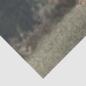 ハイランド牛ふくらはぎ秋の草原 薄葉紙 (詳細)