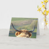 ハイランド牛カード カード (黄色い花)