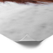 ハイランド牛スコットラ素朴ンドファームのポスター ポスター (角)