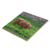 ハイランド牛ビューセラミックタイル タイル (側面)