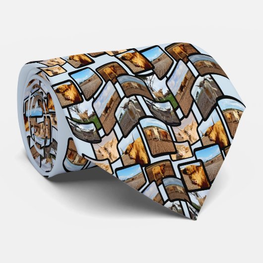 ハイランド牛フォトコラージモンタージュ、 ネクタイ (ロール)