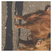 ハイランド牛フォトコラージュ、 ファブリック (見本)