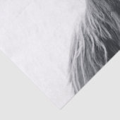 ハイランド牛ポートレートイニシャルモノグラム白黒 薄葉紙 (詳細)