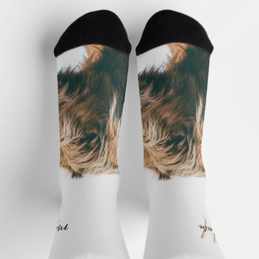 ハイランド牛ポートレート名前をカスタムするイニシャルモノグラム ソックス (上部)