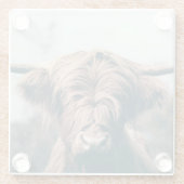 ハイランド牛ポートレート ガラスコースター (裏面)