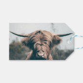 ハイランド牛ポートレート ギフトタグ (正面(横))