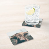 ハイランド牛ポートレート スクエアペーパーコースター (インサイチュ)