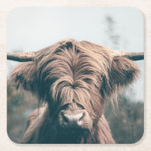 ハイランド牛ポートレート スクエアペーパーコースター (正面)
