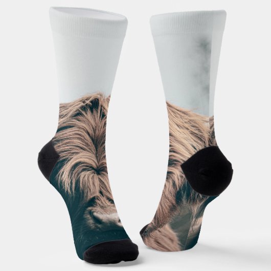 ハイランド牛ポートレート ソックス (傾斜あり)