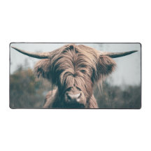 ハイランド牛ポートレート