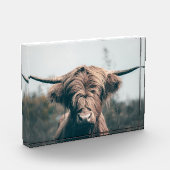 ハイランド牛ポートレート フォトブロック (左)