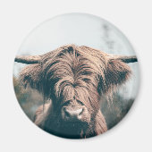 ハイランド牛ポートレート マグネット (正面)