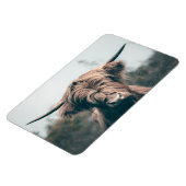 ハイランド牛ポートレート マグネット (左側)