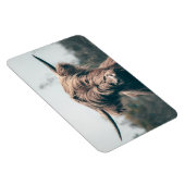 ハイランド牛ポートレート マグネット (右側)