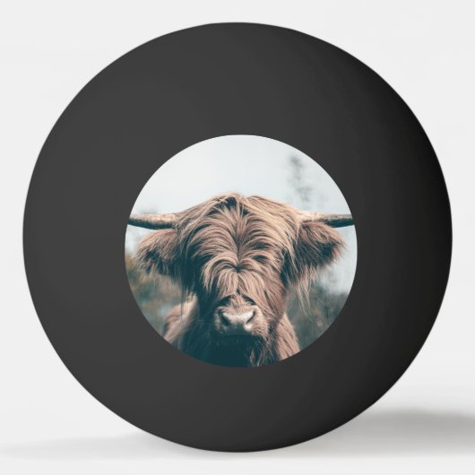 ハイランド牛ポートレート 卓球ボール (正面)