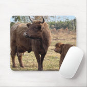 ハイランド牛ママとベビー子牛ターニングヘッド マウスパッド (マウス)