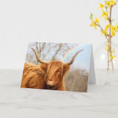 ハイランド牛誕生日カード カード (黄色い花)