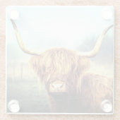 ハイランド牛 ガラスコースター (裏面)