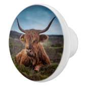 ハイランド牛 セラミックノブ (右)