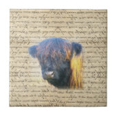 ハイランド牛 タイル (正面)