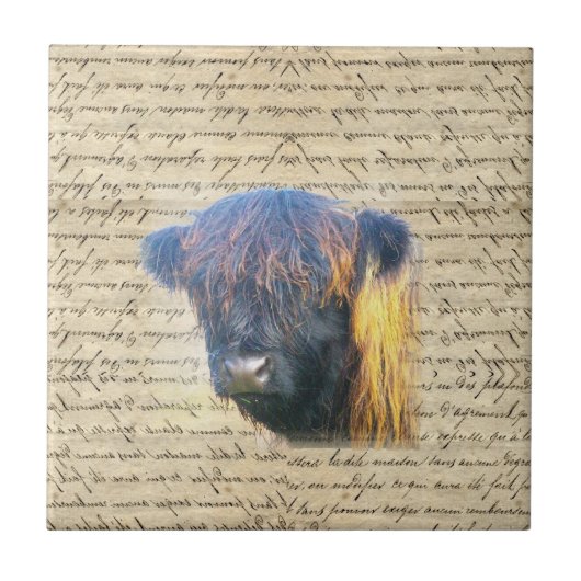 ハイランド牛 タイル (正面)