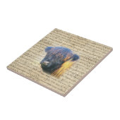 ハイランド牛 タイル (側面)