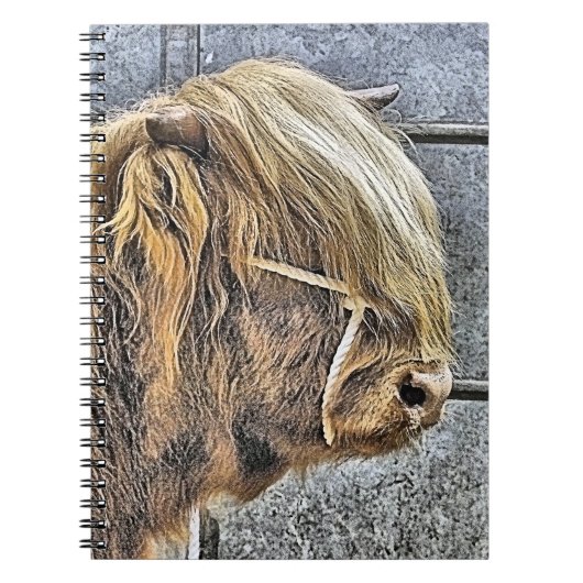 ハイランド牛 ノートブック (正面)