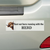 ハイランド牛 バンパーステッカー (車上)