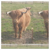 ハイランド牛 ファブリック (クローズアップ)