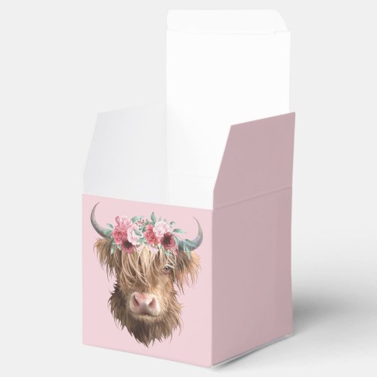 ハイランド牛 フェイバーボックス (オープン)