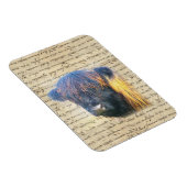 ハイランド牛 マグネット (右側)