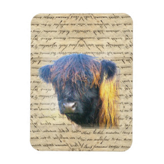 ハイランド牛 マグネット