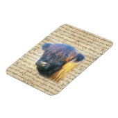 ハイランド牛 マグネット (左側)