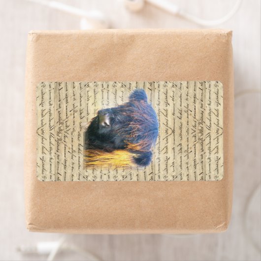 ハイランド牛 ラベル (インサイチュ)