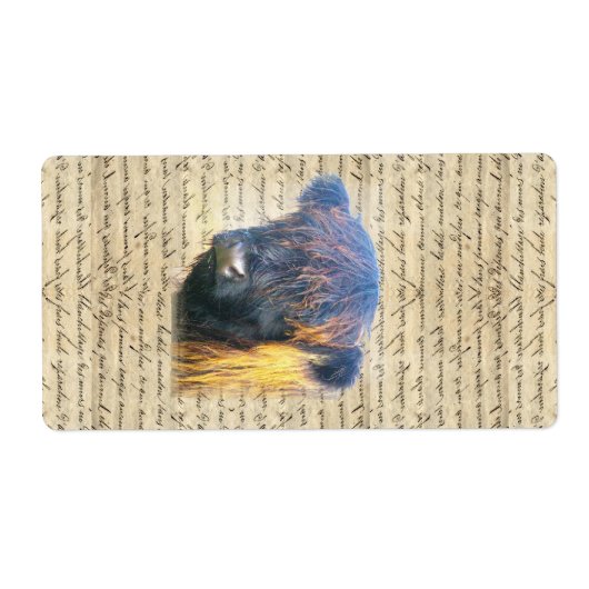 ハイランド牛 ラベル (正面)