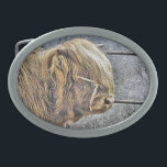 ハイランド牛 卵形バックル<br><div class="desc">美しいハイランド牛のアートデザイン。</div>