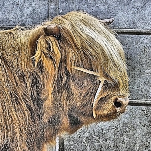 ハイランド牛 栓抜き