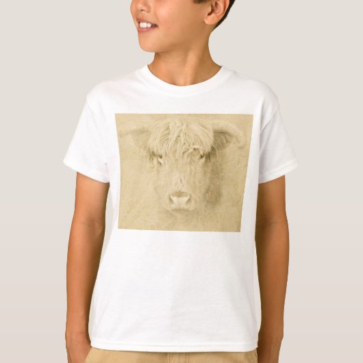 ハイランド牛 Tシャツ (正面)