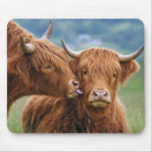 ハイランド種の牛が牛にキス マウスパッド (正面)