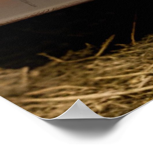 ハイランド・カウファームをテーマにした妊娠告知 ポスター (角)