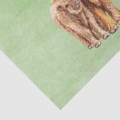 ハイランド・カウ スコットランド ママ ベビー ユーカリ 薄葉紙 (詳細)