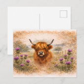 ハイランド・カウ - 水彩の動物 ポストカード (正面/裏面)