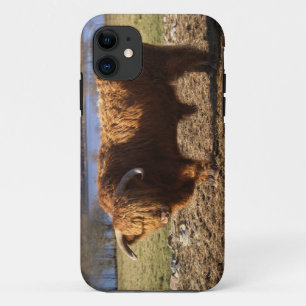 ハイランド・キャトル雄牛、スコットランド iPhone 11 ケース