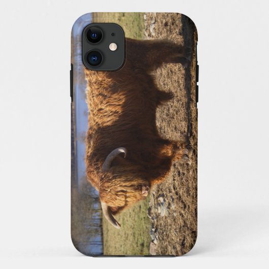 ハイランド・キャトル雄牛、スコットランド Case-Mate iPhoneケース (裏面)