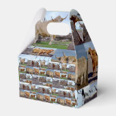 ハイランド・グローリー: 雄大な牛の写真コラージュ フェイバーボックス (裏面サイド)