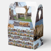 ハイランド・グローリー: 雄大な牛の写真コラージュ フェイバーボックス (オープン)