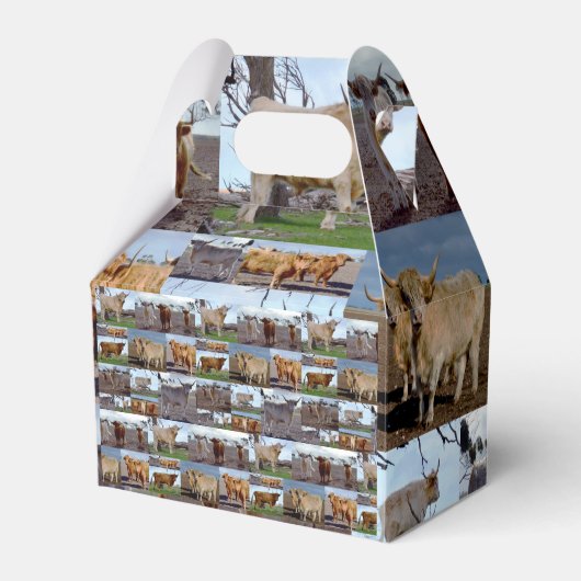 ハイランド・グローリー: 雄大な牛の写真コラージュ フェイバーボックス (正面サイド)