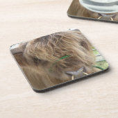 ハイランド・ブル・コースター コースター (左側)